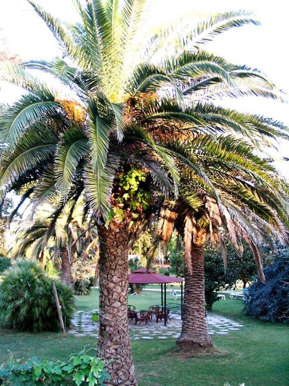 Hotel Parco Dei Principi Anzio Oda fotoğraf